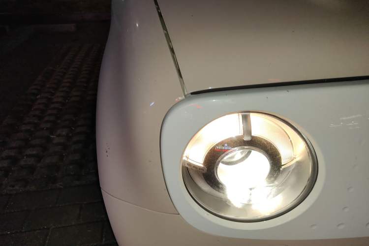 Used ORA Black Cat 2021 301km Cute Pet Edition
