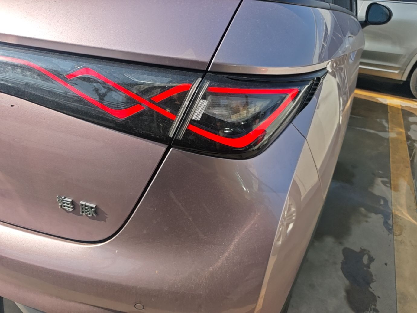 BYD Dolphin 2024 Honor Edition 420km Fashion Version — снимка 9