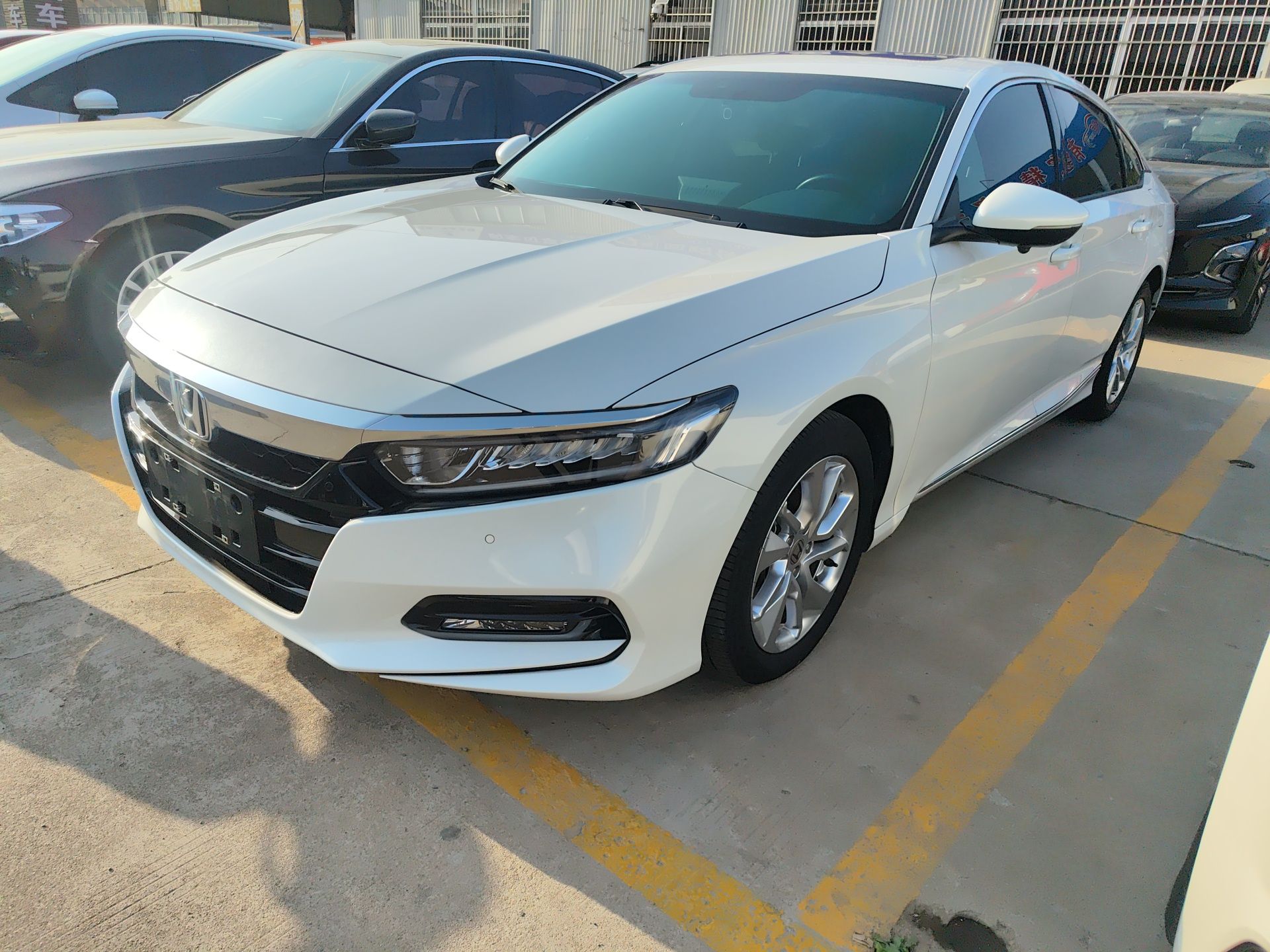 Parte inferior delantera