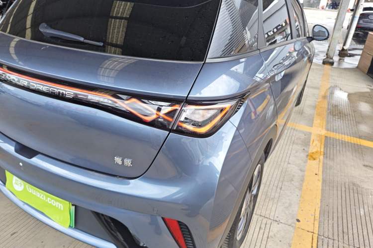 Used BYD Dolphin 2024 Honor Edition 420km Fashion Version Right Rear Taillight