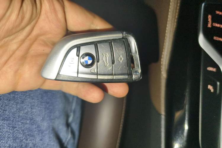 Used BMW 5 Series New Energy 2019 530Le Luxury Package
