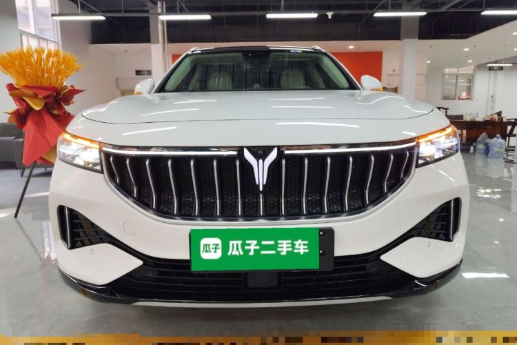 Used VOYAH FREE 2022 DNA Pure Electric Model