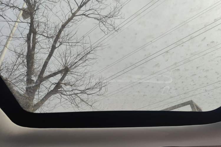 Used Leapmotor T03 2021 400 Luxury Pro Edition Headliner