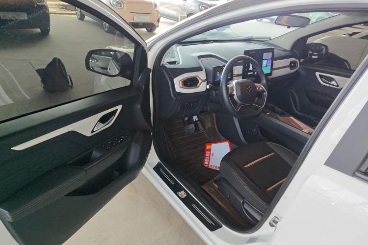 Used SOL E10X 2022 Flower Fairy Design Sunflower