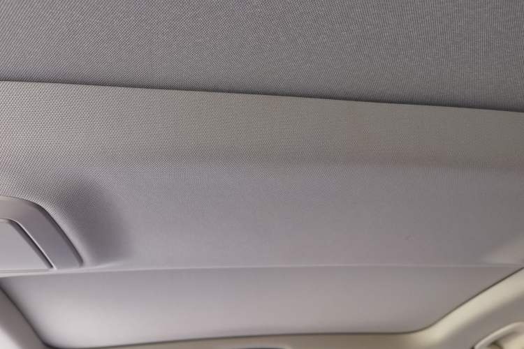 Used BMW 5 Series New Energy 2021 535Le Luxury Package Headliner