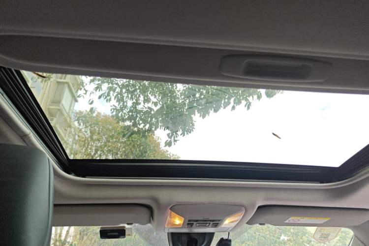 Used Toyota Wildlander 2020 2.0L CVT Two-Wheel Drive Luxury Edition
