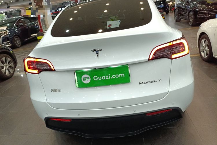 Used Tesla Model Y 2022 Long-Range All-Wheel-Drive Version