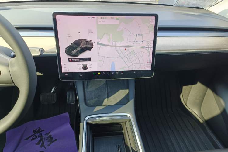 Used Tesla Model Y 2021 Standard Range Rear-Wheel Drive Version
