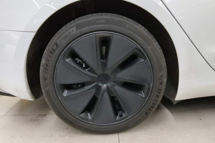 Used Tesla Model 3 2023 Rear-Wheel-Drive Version Exterior 5