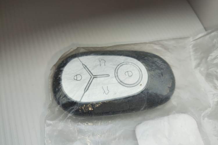 Used Geely Galaxy Geome 2026 Model 410km Carefree Edition Vehicle Key