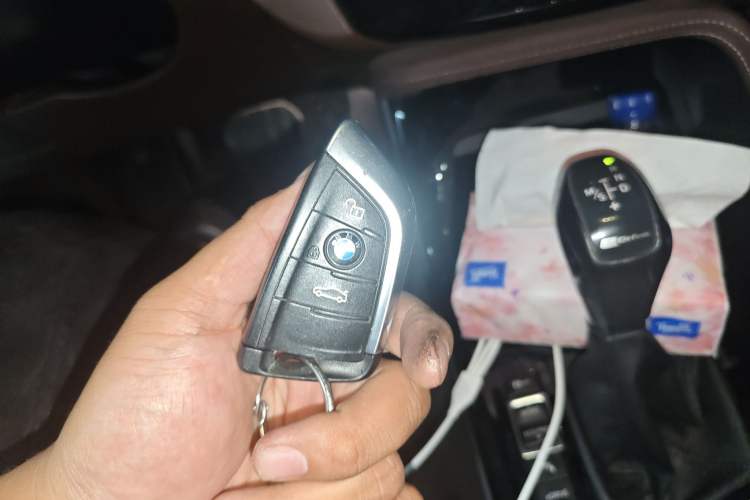 Used BMW X1 New Energy 2018 xDrive25Le Luxury Model