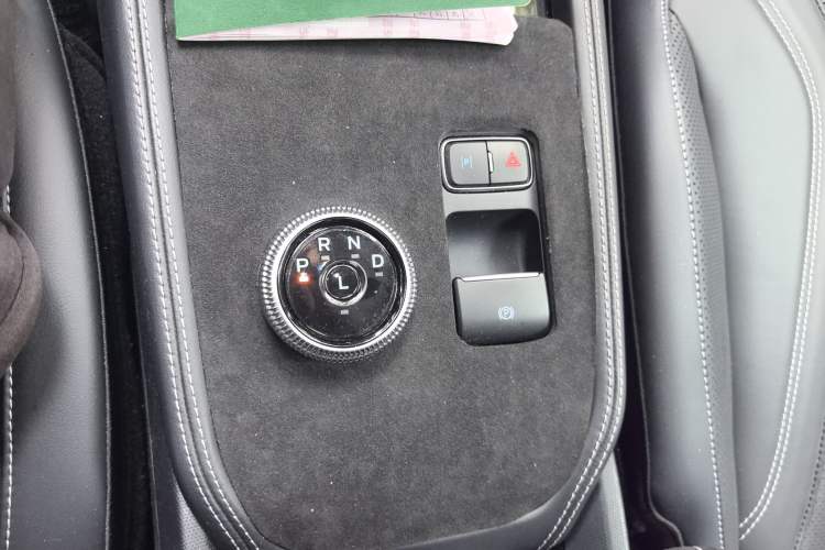 Used Ford Mustang Mach-E 2021 AION Y Plus Rear-Drive Luxury Edition (Long Range)