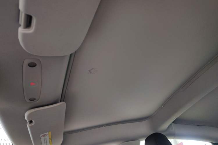 Used Tesla Model 3 2023 Rear-Wheel-Drive Version Headliner