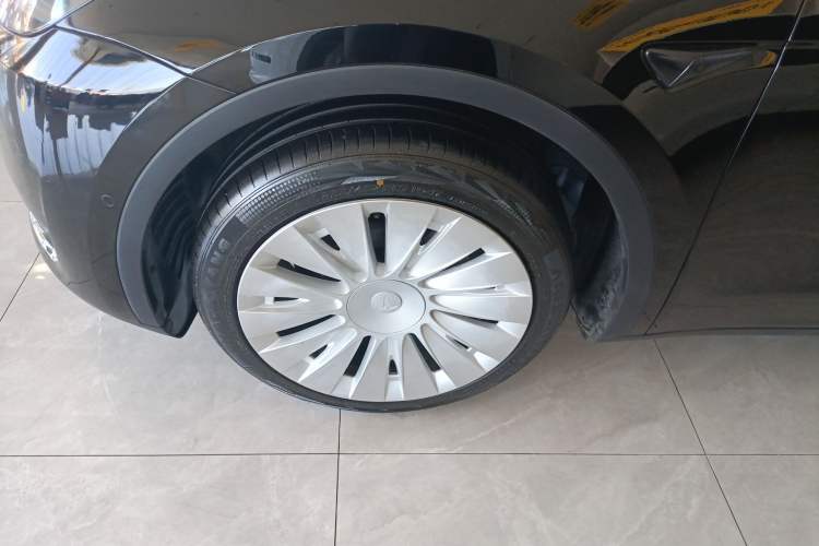 Used Tesla Model Y 2023 Rear-Wheel-Drive Version Exterior 4