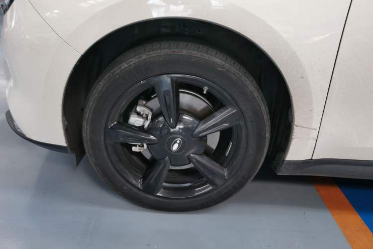 Used ORA Good Cat 2024 401 km Luxury Version