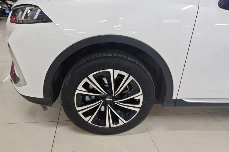 Used Wey Latte DHT 2022 1.5T DHT Extra-Large Cup
