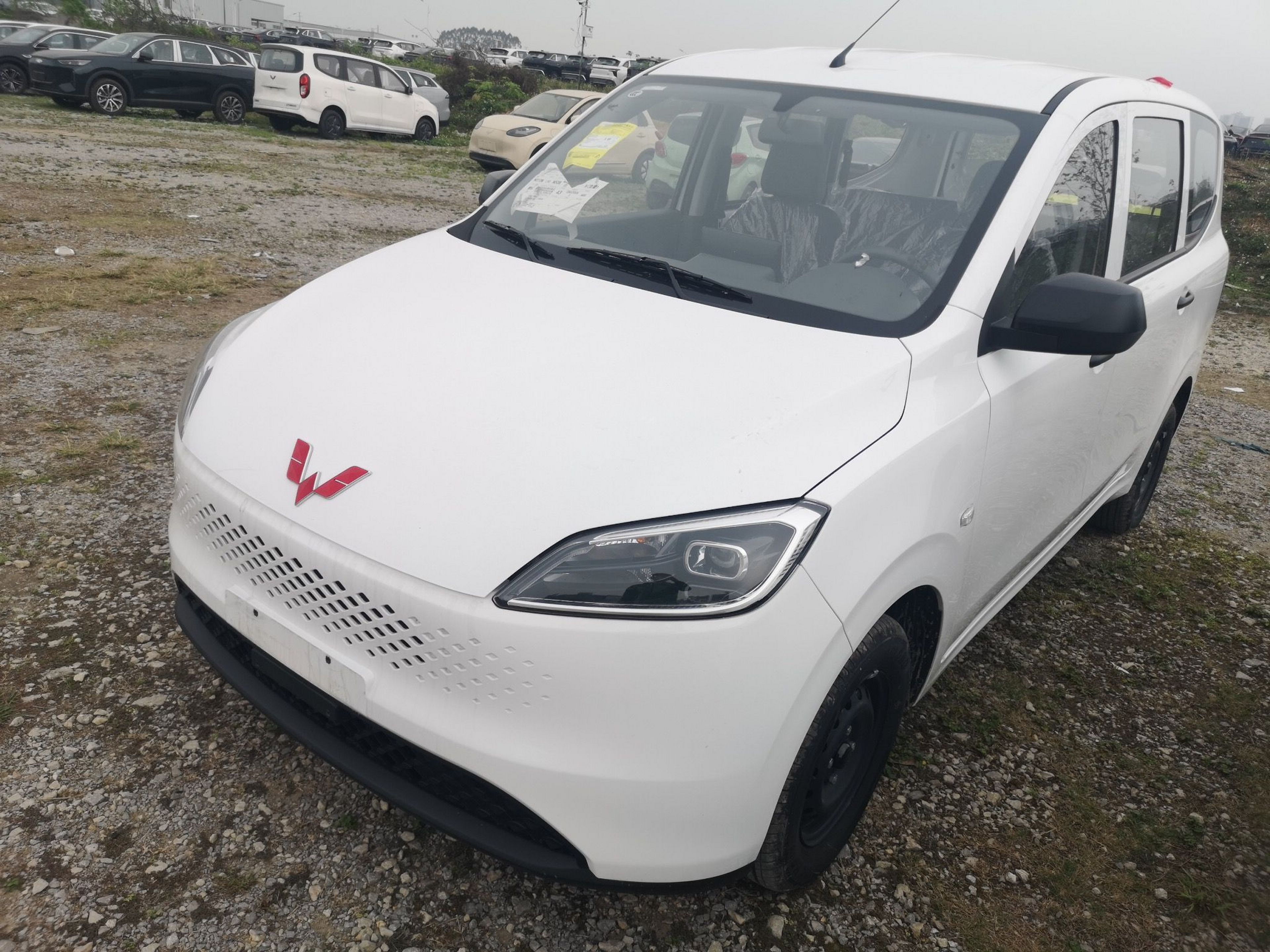 Parte inferior delantera