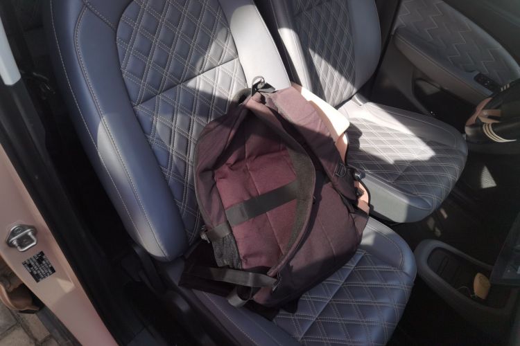 Used Leapmotor T03 2021 400 Comfort Edition Right Front Seat