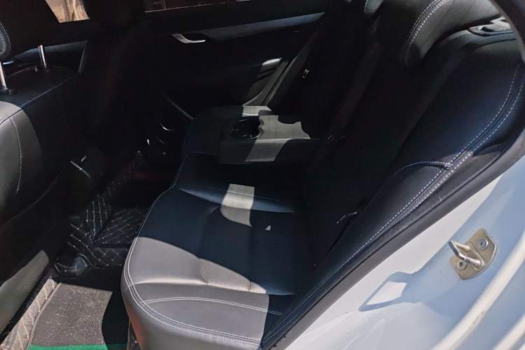 Used Geely Auto Emgrand New Energy 2018 EV450 Ambition Model Left Rear Seat