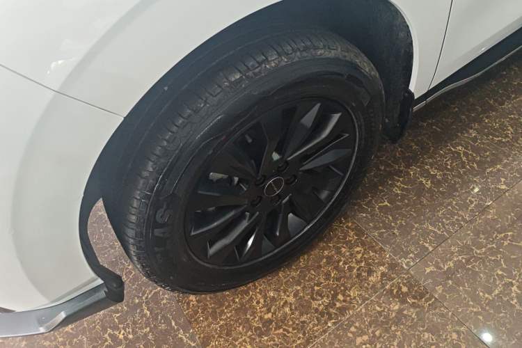 Used FORTHING T5 EVO 2024 Kungbiao Edition 1.5TD DCT Platinum Model