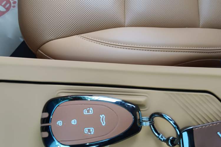 Used Wey Gaoshan 2025 Four-Wheel Drive Alpine 8
