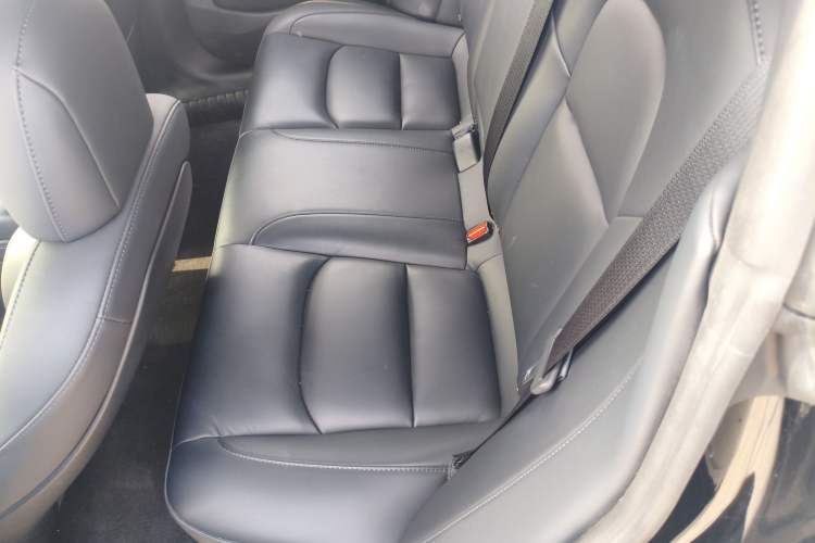 Used Tesla Model 3 2022 Performance High-Performance All-Wheel-Drive Version Left Rear Seat