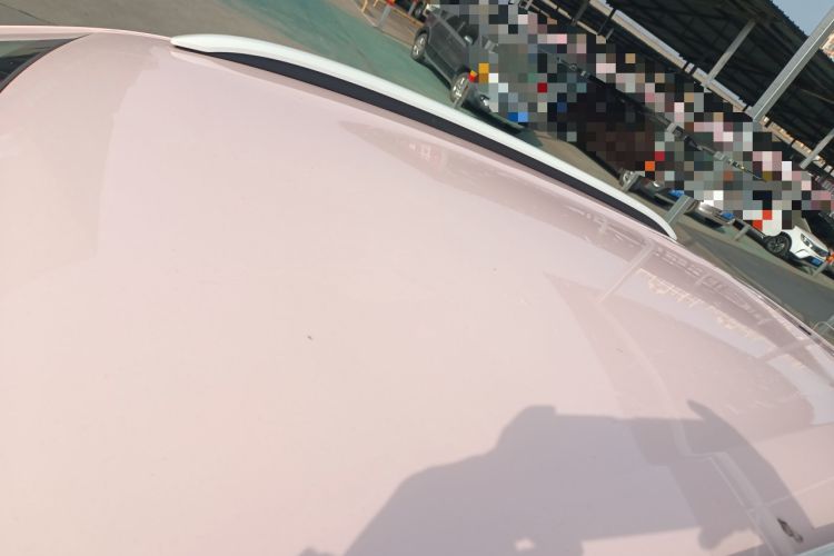 Used Dongfeng NAMMI EX1 2023 PRO Light Wind Edition Lightning Model
