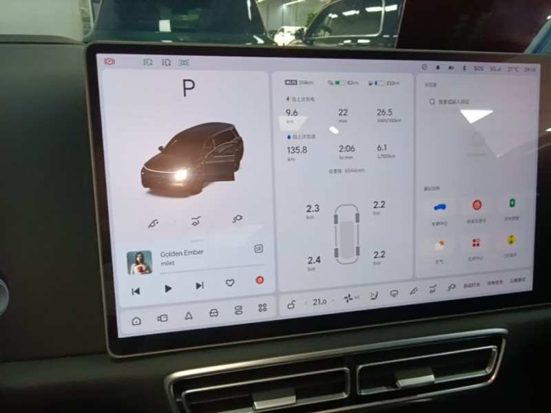 Used Li Auto L9 2022 Max model — 12