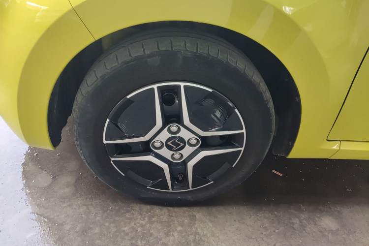 Used SOL E10X 2022 Flower Fairy Design Four-Leaf Clover
