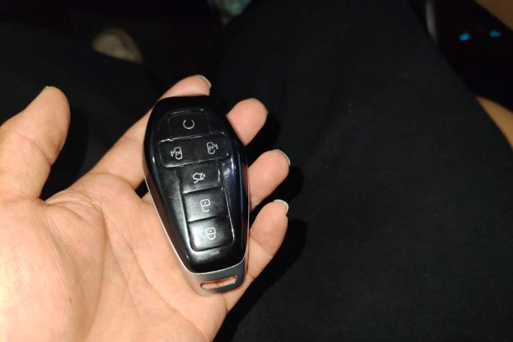 Used Denza D9 2025 DM-i Intelligent Drive 1020 Four-Wheel Drive Prestige Model
