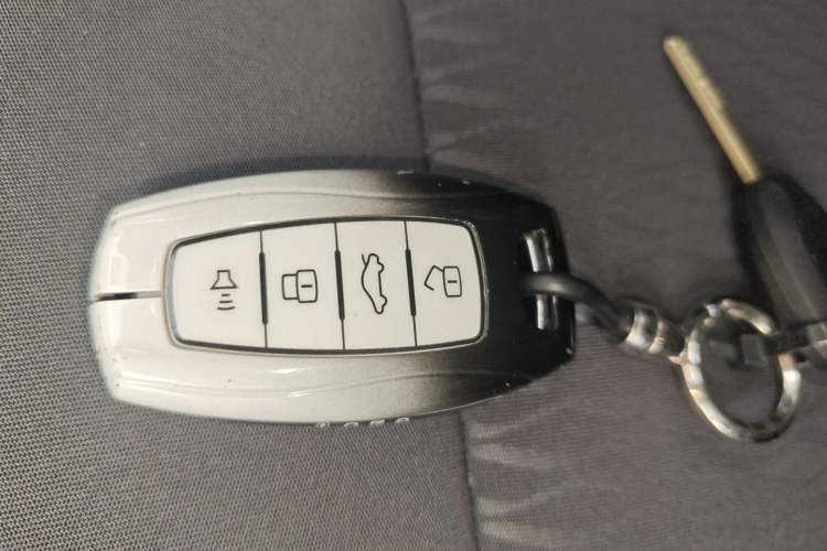 Used ORA Black Cat 2021 301 km Basic Version