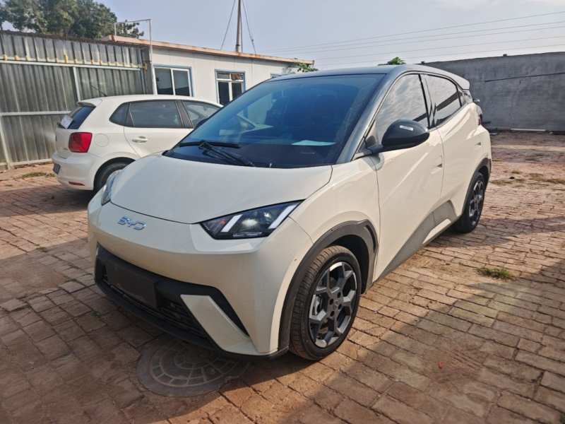 Used BYD Seagull 2025 305 km Free Version — 1