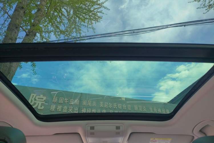 Used Volkswagen Magotan 2018 330TSI DSG Luxury Model Headliner