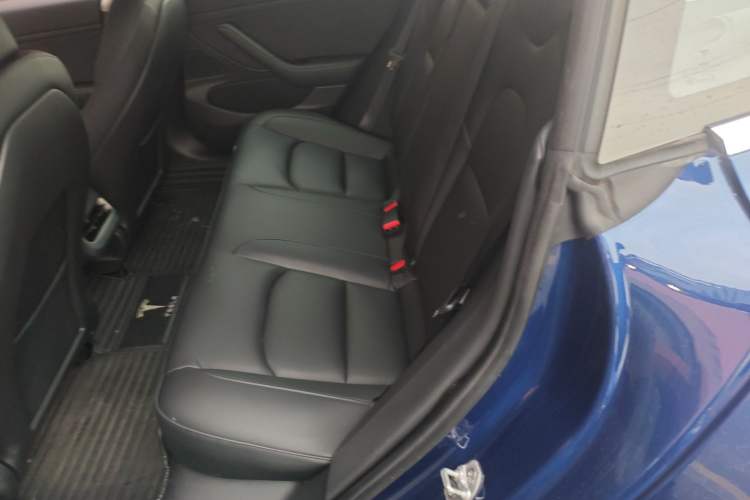 Used Tesla Model 3 2020 Standard Range Rear-Wheel Drive Upgraded Version
