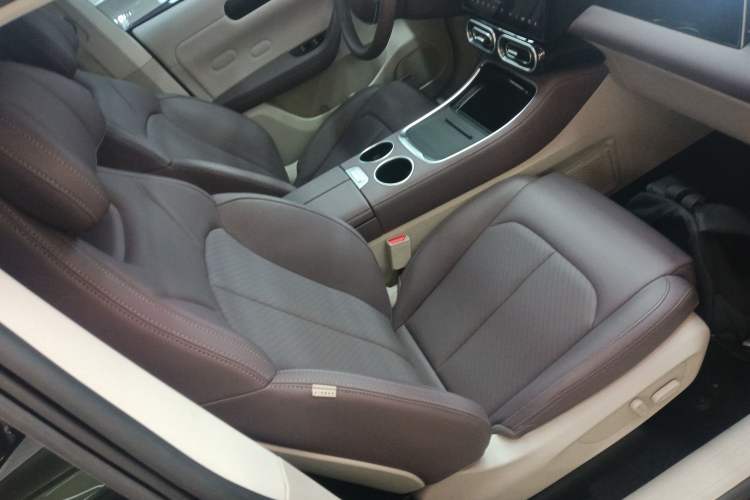 Used Leapmotor C11 2023 Pure Electric 500 Comfort Edition
