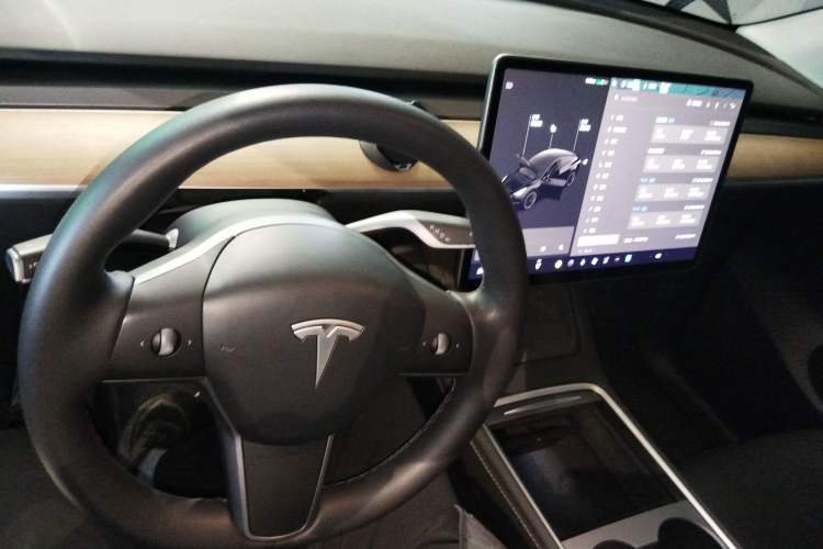 Used Tesla Model Y 2021 Standard Range Rear-Wheel Drive Version
