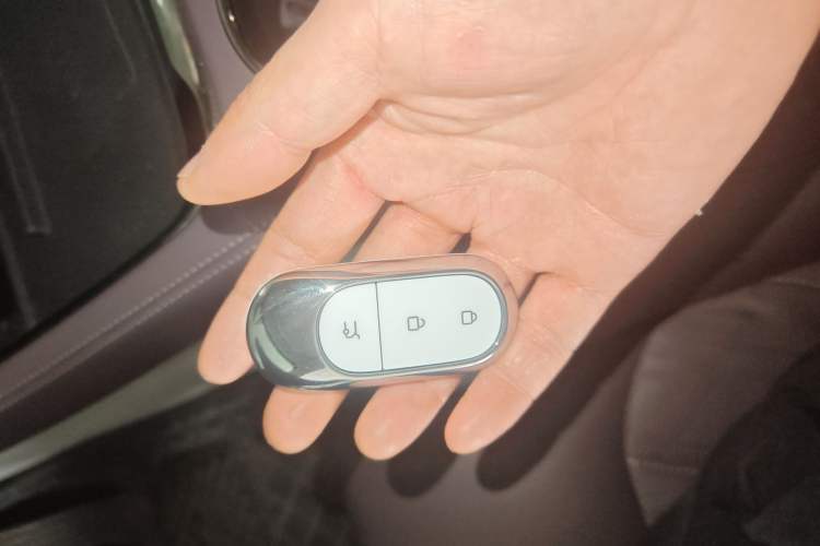 Used Leapmotor C11 2024 Range-Extended 300 Luxury Edition
