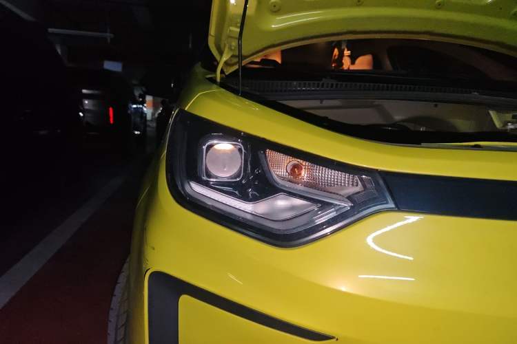 Used SOL E10X 2022 Flower Fairy Design Four-Leaf Clover