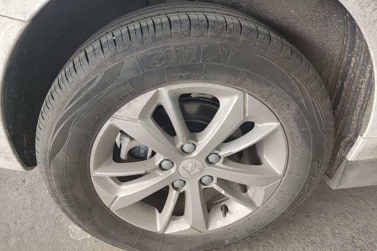 Used Livan Maple 60s 2025 Travel Edition
