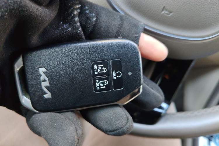 Used Kia Carnival 2021 2.0T Flagship Edition
