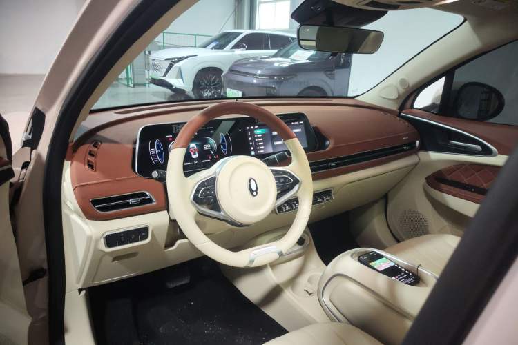 Used ORA Good Cat 2024 401 km Luxury Version