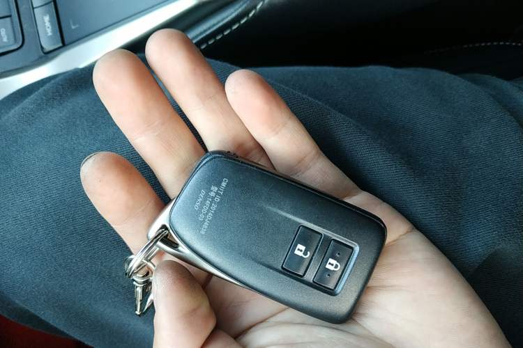 Used Lexus NX 2018 200 Front-Wheel-Drive X-Trail Version China V Standard
