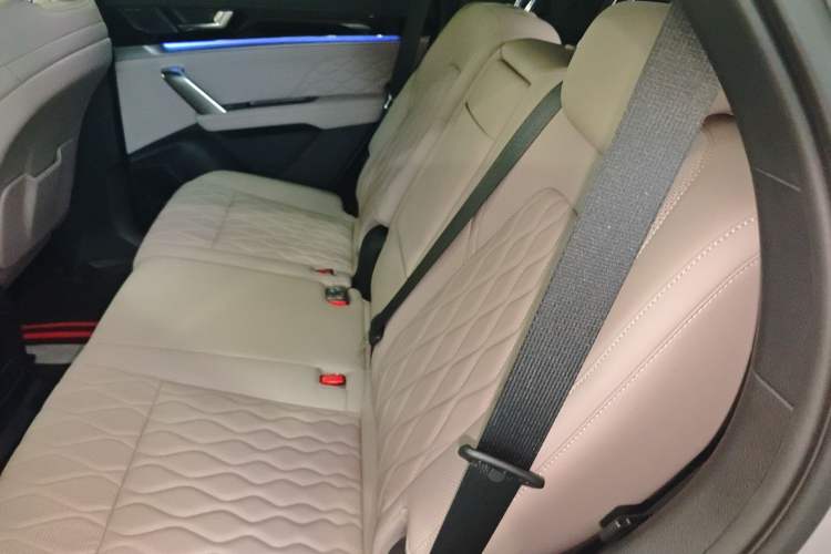 Used BYD Tang New Energy 2025 Intelligent Driving Version DM-i 115KM Flagship Edition Left Rear Seat