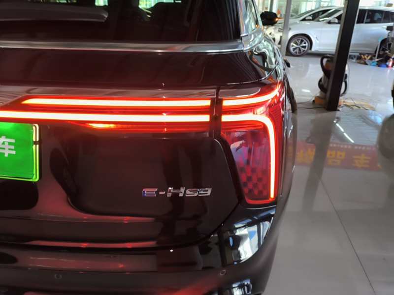 Used Hongqi E-HS9 2021 460 km Range Flagship Edition Six-Seater — 7