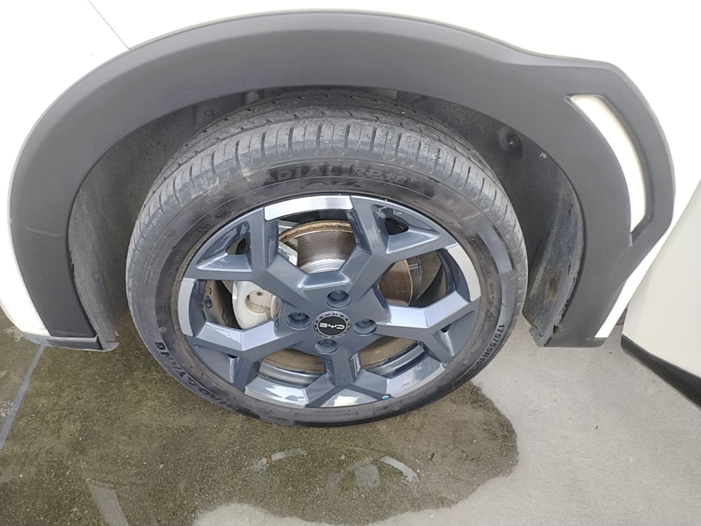 BYD Seagull 2025 305 km Free Version — снимка 10