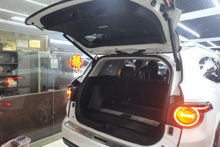 Used Haval H Dog 2023 2.0T All-Wheel-Drive Chaoye Plus
