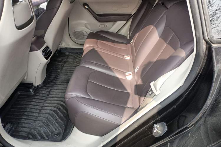 Used Leapmotor C11 2023 Pure Electric Executive Edition