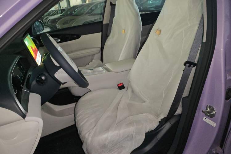 Used Geely Galaxy Geome 2026 Model 310km Dream Edition Left Front Seat