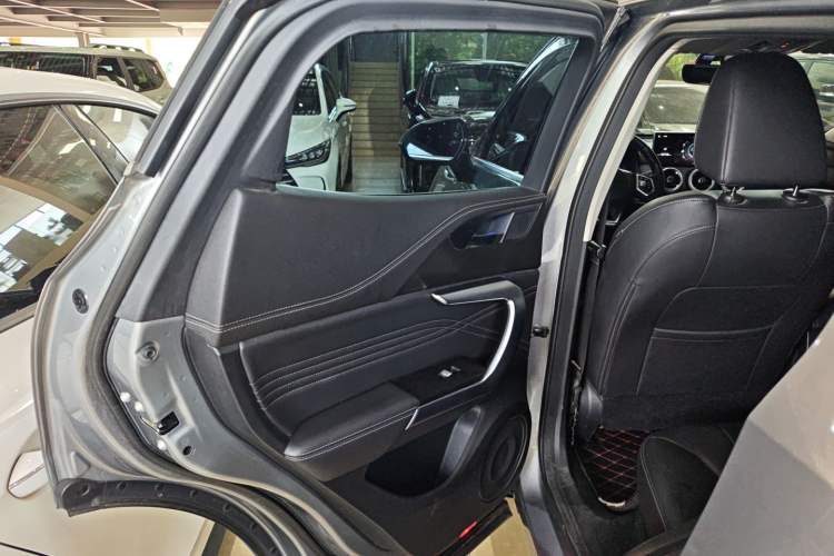 Used Wey VV5 2020 1.5T Two-Wheel Drive Color Pioneer Left Rear Door Interior