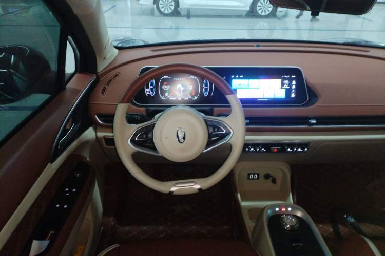 Used ORA Good Cat 2022 Morandi Edition 400km Standard Range Luxury Version Lithium Iron Phosphate Steering Wheel